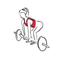 Sportschool vergoeding